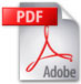 pdf file